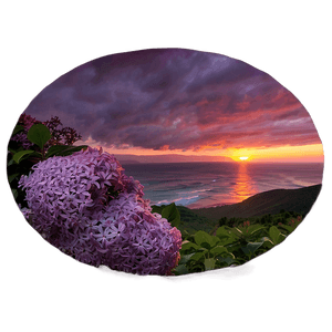 Lilac Sunset PNG 06122024 PNG with transparent background
