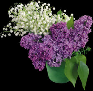 Transparent Rosas Blancas Png - Flores Blancas Y Lila, Png Download PNG image with transparent background