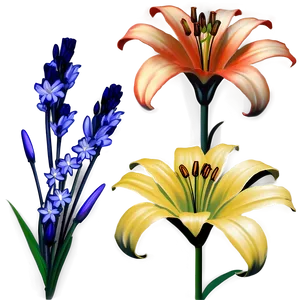 Lilies And Daisies Png Jox79 PNG Image