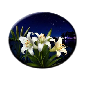 Lilies Under Moonlight Png 18 PNG Image