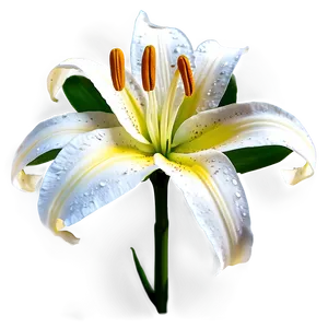 Lily Flower Sticker Png 28 PNG Image