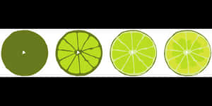 Lime_ Slices_ Progression PNG with transparent background