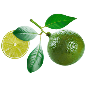 Lime with Leaf PNG 84 PNG image with transparent background