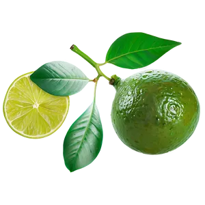 Lime With Leaf Png 84 PNG Image