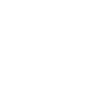 Lincoln Square Logo PNG image with transparent background