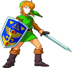 Link Heroof Hyrule PNG Image