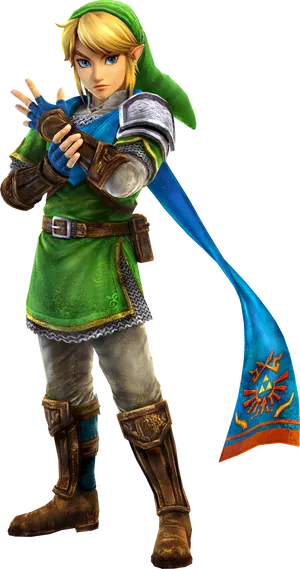 Link Heroof Hyrule PNG Image