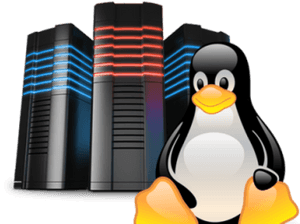 Linux Hosting Clipart Hosting Png - Linux Hosting, Transparent Png PNG image with transparent background