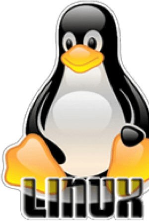 Linux Hosting Png Transparent Images - Linux, Png Download PNG image with transparent background