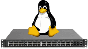 Linux Networking, HD Png Download PNG image with transparent background