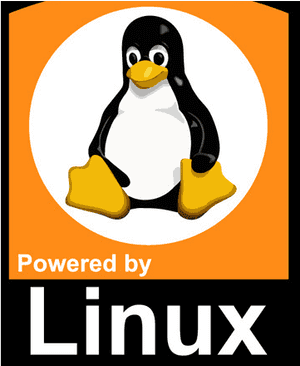 Linux Penguin, HD Png Download PNG image with transparent background
