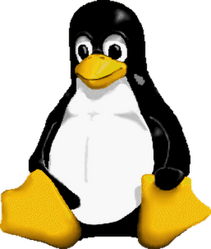 Linux Penguin - Linux Penguin Gif, HD Png Download PNG image with transparent background
