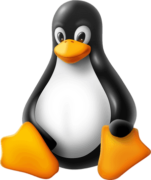 Linux Penguin Png - Linux Tux Png, Transparent Png PNG image with transparent background