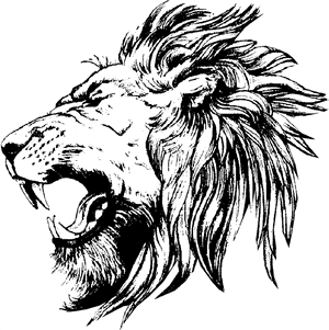 Lion Drawing - Lion Face Side View Drawing, HD Png Download PNG image with transparent background
