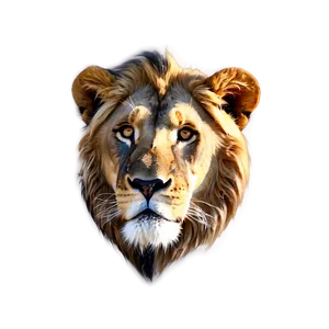 Lion Face Drawing Png Cun65 PNG Image