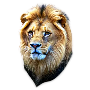 Lion Facial Expression Png 06122024 PNG Image