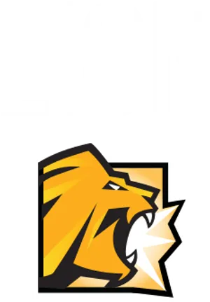 Lion Graphic Logo Design PNG Image