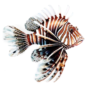 Lionfish Illustration Png Pdm PNG Image