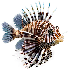 Lionfish Swimming Png Geq96 PNG Image