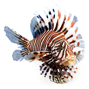 Lionfish With Open Fins Png 21 PNG Image