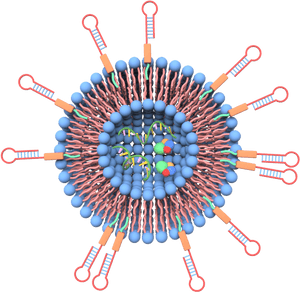 Extracellular Vesicles - Nanovesicles For Drug Delivery, HD Png Download PNG