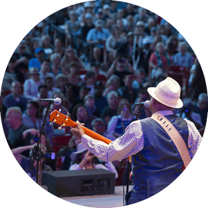 Live Concert Performance Cheering Crowd PNG image with transparent background