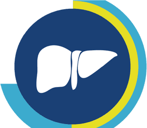 Liver Icon Graphic PNG with transparent background