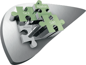 Liver Treatment Puzzle Pieces PNG