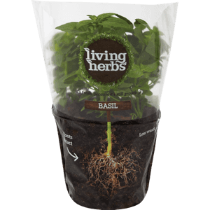 Living Herbs Basil Plant Packaging PNG