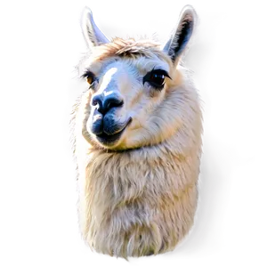 Llama Adventure Png 06202024 PNG Image