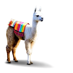 Llama Fiesta Png Gin PNG Image