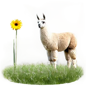 Llama In Field Png Wjx PNG Image