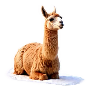 Llama In Snow Png 55 PNG Image