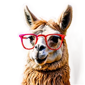 Llama With Glasses Png Lff PNG Image