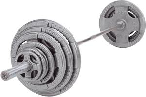 Loaded Standard Barbell Weights PNG image with transparent background