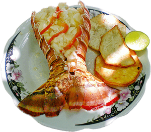 Lobster Tail - Does Lobster Taste Fishy, HD Png Download PNG image with transparent background
