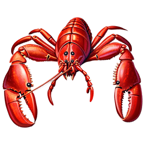 Lobster Drawing PNG 05212024 PNG image with transparent background