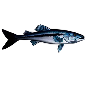 Lone Barracuda Png Fly58 PNG Image