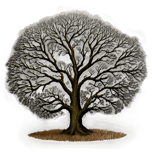 Lone Oak Landscape PNG 06262024 PNG with transparent background