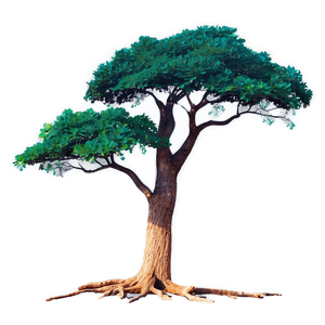 Lone Oak Landscape PNG cbe PNG with transparent background