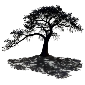 Lone Tree Shadow Png Iul20 PNG Image