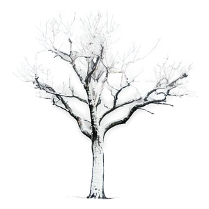 Lonely Bare Tree Png 54 PNG Image