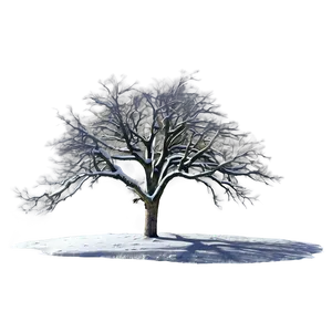 Lonely Bare Tree Png Fvd PNG Image