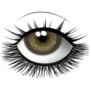 Long Eyelashes PNG sva PNG