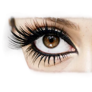 Long Fake Eyelashes Png 22 PNG Image