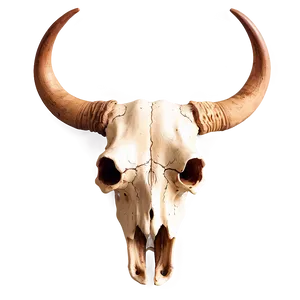 Longhorn Bull Skull Symbol Png Qtp16 PNG Image