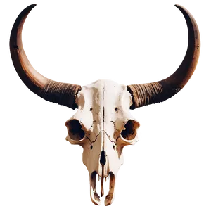 Longhorn Skull Illustration Png 51 PNG Image