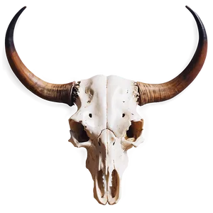 Longhorn Skull Illustration Png 57 PNG Image