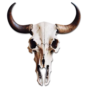 Longhorn Skull Illustration Png 71 PNG Image