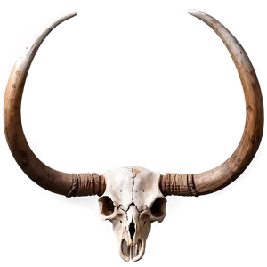 Longhorn Skull On Wood Background Png 06292024 PNG Image